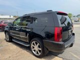 Used 2014 Cadillac Escalade Luxury image 5
