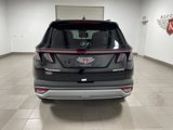 New 2025 Hyundai Tucson Limited image 5