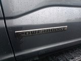 New 2025 Ford F150 XLT image 6