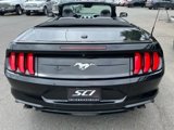 Used 2022 Ford Mustang Premium image 5
