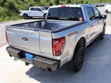 New 2025 Ford F150 Tremor image 5
