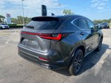 New 2026 Lexus NX 350 AWD w/ Premium Package image 3
