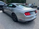 Used 2020 Ford Mustang Premium image 3