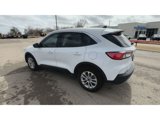 Used 2022 Ford Escape SE image 6