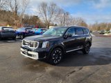 New 2025 Kia Telluride SX Prestige image 3