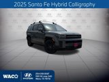 New 2025 Hyundai Santa Fe Calligraphy image 1