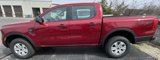 New 2025 Ford Ranger XL image 3