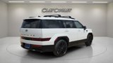 New 2025 Hyundai Santa Fe Calligraphy image 4