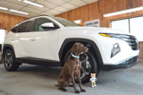 Used 2023 Hyundai Tucson SEL w/ Convenience Package image 2