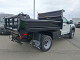 New 2025 Ford F550 4x4 Regular Cab Super Duty image 4