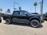 New 2025 Ford F150 Raptor image 3