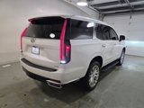 Used 2023 Cadillac Escalade Premium Luxury w/ LPO, Illumination Package image 6