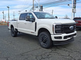 New 2025 Ford F350 Platinum image 3