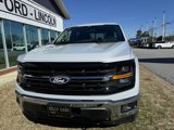 New 2025 Ford F150 XLT w/ Equipment Group 302A MID image 4