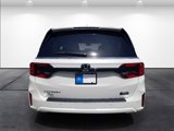 New 2025 Honda Odyssey Elite image 5