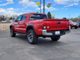 Used 2019 Toyota Tacoma TRD Off-Road image 3