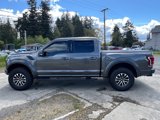 Used 2019 Ford F150 Raptor image 4