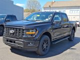 New 2025 Ford F150 STX w/ STX Black Appearance Package image 3