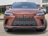 New 2025 Lexus RX 350 Premium Plus image 2
