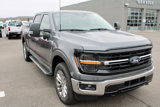 New 2025 Ford F150 XLT w/ Equipment Group 303A High image 2