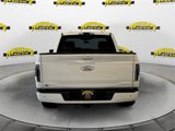 New 2025 Ford F150 XL w/ Equipment Group 103A High image 4