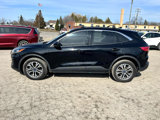 Used 2020 Ford Escape SEL image 2