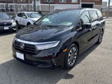 Certified 2024 Honda Odyssey EX-L image 1