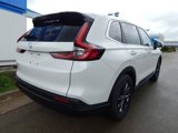 New 2026 Honda CR-V EX-L image 3
