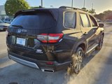 New 2025 Honda Pilot Touring image 5