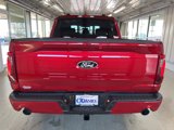 New 2025 Ford F150 XLT w/ Equipment Group 302A MID image 6