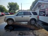 Used 2010 Ford Escape XLT image 5