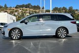 New 2025 Honda Odyssey Elite image 6