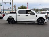 Used 2024 Ford F150 STX w/ STX Black Appearance Package image 4