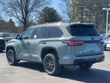 New 2025 Toyota Sequoia Platinum image 4