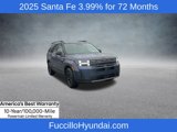 New 2025 Hyundai Santa Fe XRT image 4