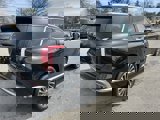 New 2025 Hyundai Palisade Calligraphy image 5