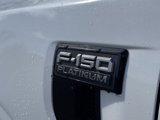 New 2025 Ford F150 Platinum w/ Equipment Group 702A High image 4