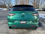 New 2025 Alfa Romeo Stelvio Tributo Italiano w/ Active Assist Plus Package image 6