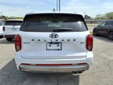 New 2025 Hyundai Palisade Calligraphy image 4