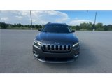 Used 2019 Jeep Cherokee Limited w/ Technology Group image 3