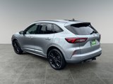 Used 2024 Ford Escape ST-Line Elite w/ Premium Technology Package image 5