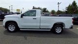 Used 2023 Chevrolet Silverado 1500 W/T w/ WT Fleet Convenience Package image 5