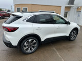 New 2025 Ford Escape Platinum w/ Premium Technology Package image 4