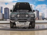 New 2025 INEOS Grenadier Fieldmaster Edition image 4
