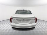 New 2025 Cadillac CT5 Premium Luxury image 5