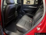 New 2026 GMC Terrain Elevation w/ Elevation Premium Package image 3