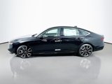 New 2025 Honda Accord Touring image 4