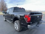 New 2024 Ford F150 XLT image 4