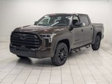 New 2025 Toyota Tundra SR5 image 4