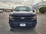 New 2025 Ford F150 XLT w/ Equipment Group 302A MID image 3